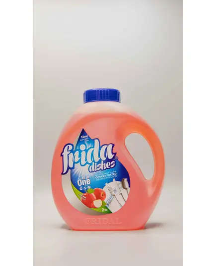 Fridal Dishes - Concentrated Dish washing Liquid - Multiple Scents 2 Kg Tijarahub