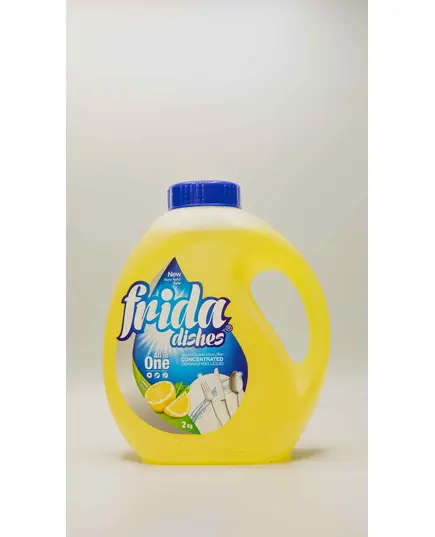 Fridal Dishes - Concentrated Dish washing Liquid - Multiple Scents 2 Kg Tijarahub