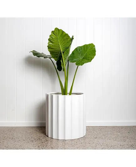 Wholesale - Handmade - Fiberglass Alaska Pot - Outdoor Garden - 100 cm×60 cm - Unique Pots & Plants TijaraHub