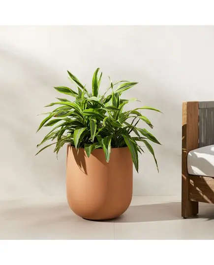 Unique Pots & Plants - Fiberglass Marseille Pot - Handmade - Home & Garden Decoration - B2B - 60 cm×50 cm TijaraHub