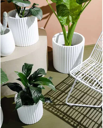 Fiberglass Julia Pot - Handmade - Wholesale - Home & Garden Decoration - Unique Pots & Plants - 40 cm×40 cm TijaraHub