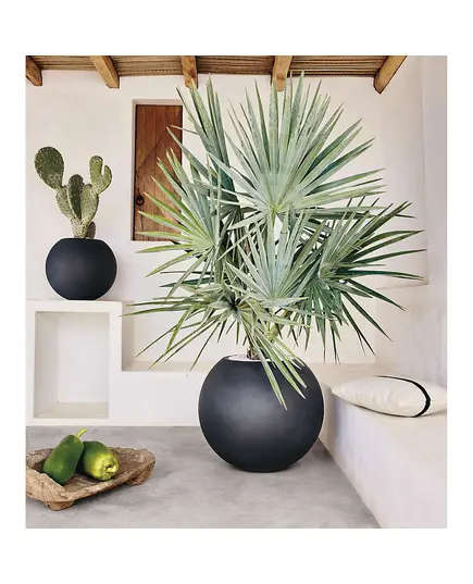 Wholesale -Handmade - Talia Pot Fiberglass - Outdoor Garden - 60 cm×65 cm - Unique Pots & Plants TijaraHub
