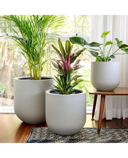 وعاء زراعة فيبر جلاس مارسيليا - صناعة يدوية - Unique Pots & Plants  - تجارة هب