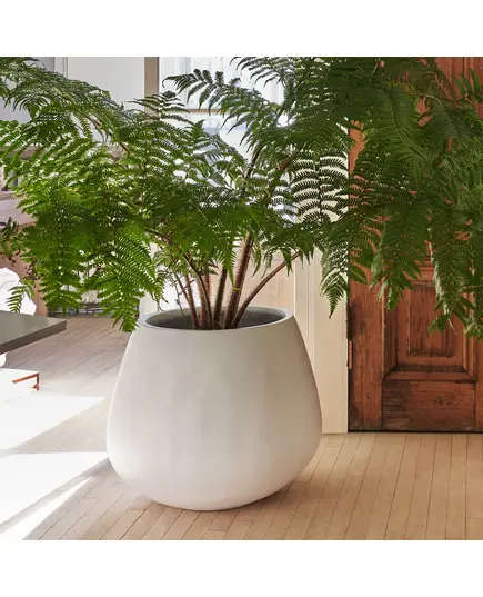 Fiberglass Trento Pot - Handmade – Wholesaler - Home & Garden Decoration - Unique Pots & Plants - 65 cm×55 cm TijaraHub