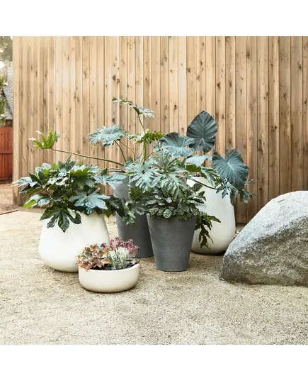Fiberglass Trento Pot - Handmade - Wholesaler - Home & Garden Decoration - Unique Pots & Plants - 50 cm×45 cm TijaraHub