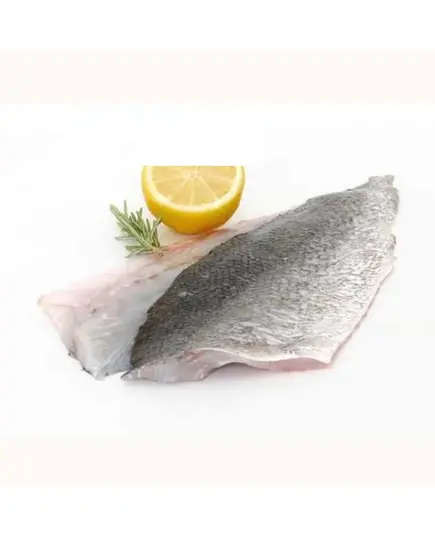 Meager Fillet 6 kg - Wholesale - Seafood - Golden Fish - Tijarahub