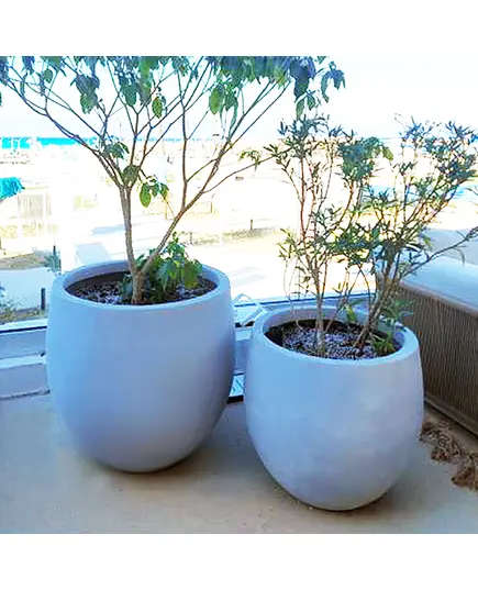 Pots - Handmade Polyester Stone Planters - Shaheen Farouk Designs - TijaraHub