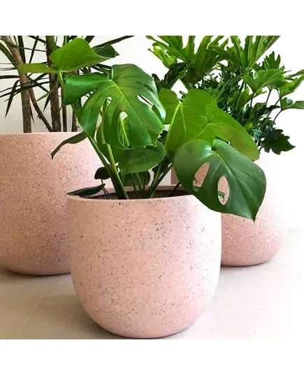 Pots - Handmade Polyester Stone Planters - Shaheen Farouk Designs - TijaraHub