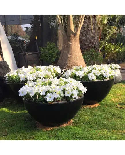 Pots - Handmade Polyester Stone Planters - Shaheen Farouk Designs - TijaraHub