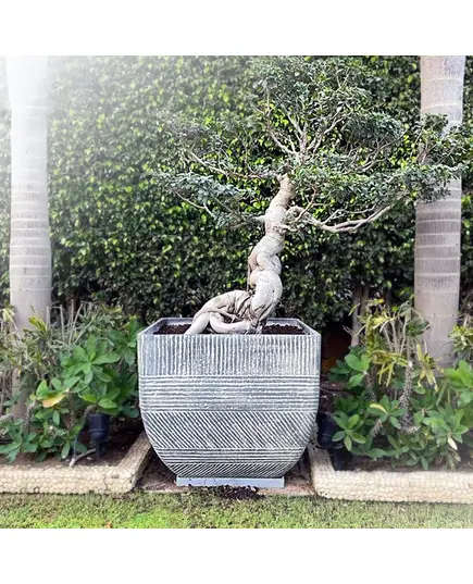 Pots - Handmade Polyester Stone Planters - Shaheen Farouk Designs - TijaraHub