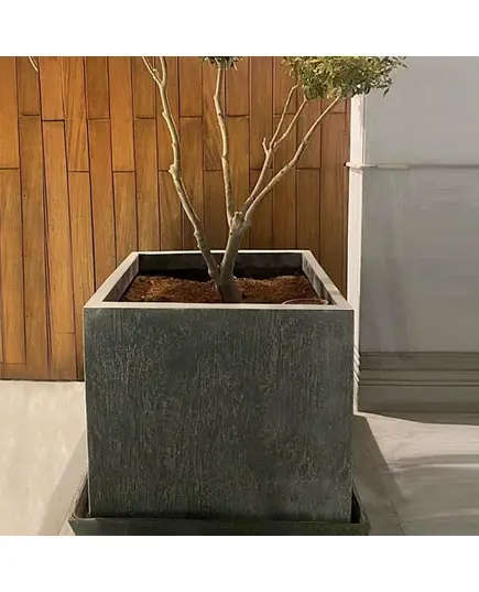 Pots - Handmade Polyester Stone Planters - Shaheen Farouk Designs - TijaraHub