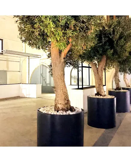 Pots - Handmade Polyester Stone Planters - Shaheen Farouk Designs - TijaraHub