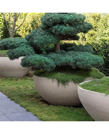 Pots - Handmade Polyester Stone Planters - Shaheen Farouk Designs - TijaraHub