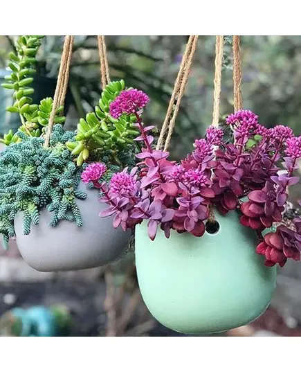 Pots - Handmade Polyester Stone Planters - Shaheen Farouk Designs - TijaraHub