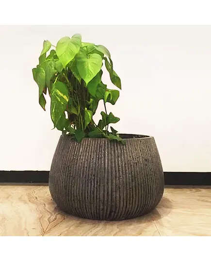 Pots - Handmade Polyester Stone Planters - Shaheen Farouk Designs - TijaraHub