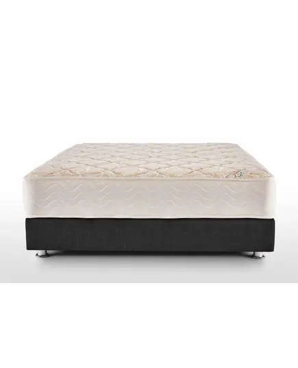 Cataract Mattresses Janssen - Wholesale - Foam Encasement TijaraHub