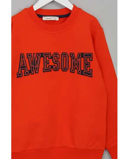 Boy's Sweat Shirt Awesome Embroidered Set Multicolored - Wholesale - Kids Clothing - Barmy Kids TijaraHub