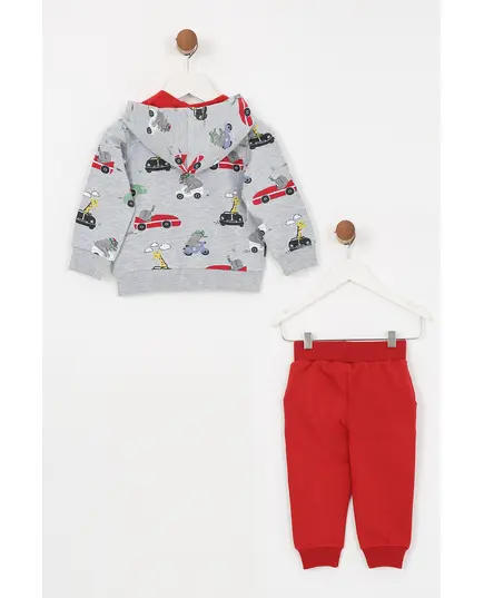 Boy's Sweat Suit Car Printed Set Multicolored- Wholesale - Kids Clothing - Barmy Kids TijaraHub