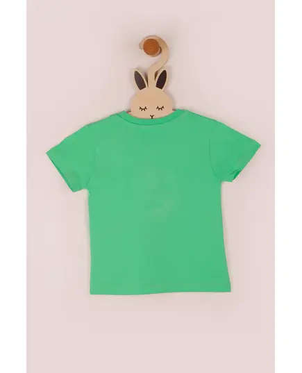 Boy's Sweat Shirt Dog Printed Multicolored- Wholesale - Kids Clothing - Barmy Kids TijaraHub
