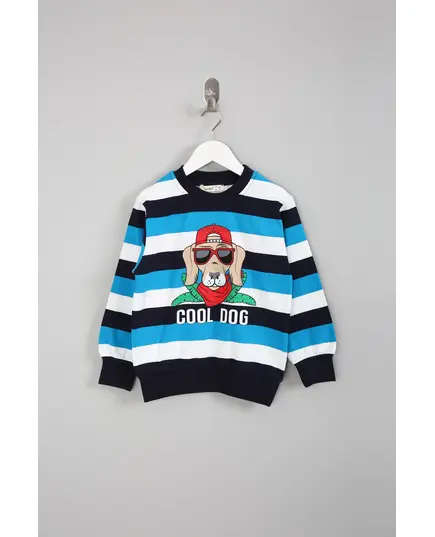 Boy's Sweat Shirt Cool Dog Printed Multicolored- Wholesale - Kids Clothing - Barmy Kids TijaraHub