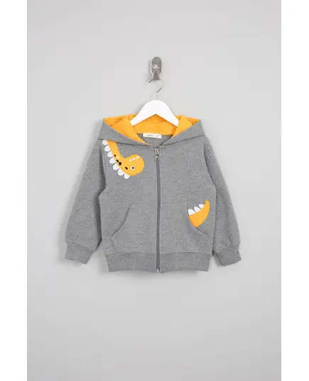 Boy's Cardigan Dinosaur Embroidered Multicolored- Wholesale - Kids Clothing - Barmy Kids TijaraHub