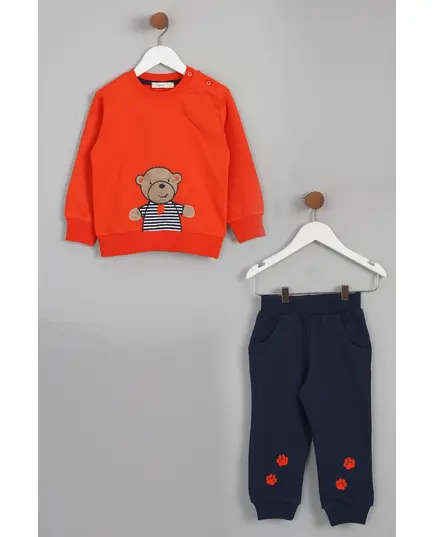 Boy's Sweat Shirt Teddy Bear Embroidered Set Multicolored- Wholesale - Kids Clothing - Barmy Kids TijaraHub