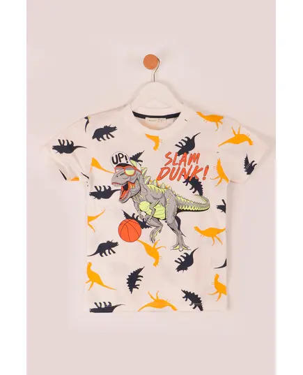 Boy's Sweat Shirt Cool Trex Printed Multicolored- Wholesale - Kids Clothing - Barmy Kids TijaraHub