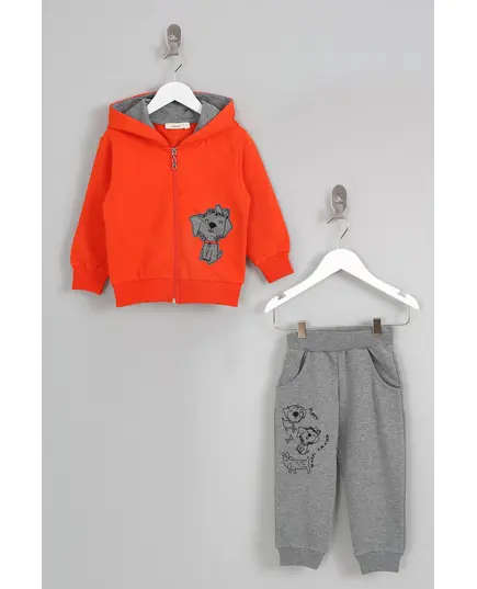 Boy's Track Suit Dog Embroidered Set Multicolored- Wholesale - Kids Clothing - Barmy Kids TijaraHub