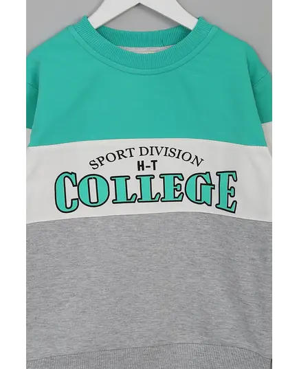 Boy's Sweat Shirt College Printed Multicolored- Wholesale - Kids Clothing - Barmy Kids TijaraHub