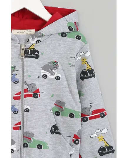 Boy's Cardigan Car Printed Multicolored- Wholesale - Kids Clothing - Barmy Kids TijaraHub