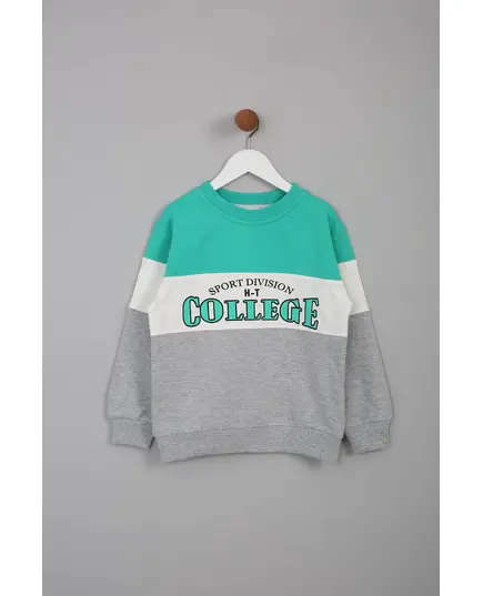 Boy's Sweat Shirt College Printed Multicolored- Wholesale - Kids Clothing - Barmy Kids TijaraHub