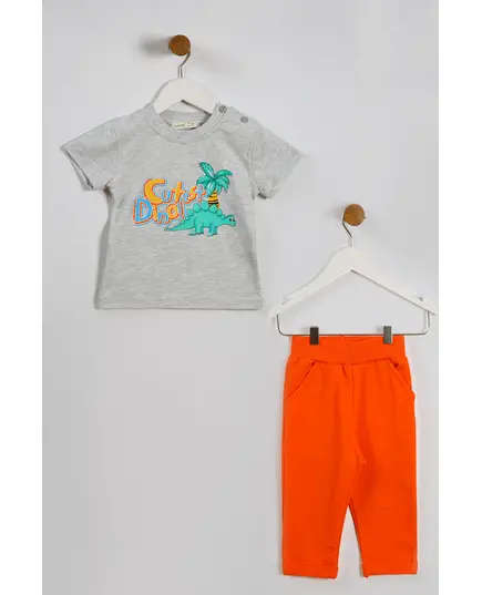 Boy's Sweat Suit Cutest Dino Printed Set Multicolored- Wholesale - Kids Clothing - Barmy Kids TijaraHub