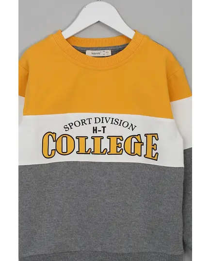 Boy's Sweat Shirt College Printed Multicolored- Wholesale - Kids Clothing - Barmy Kids TijaraHub