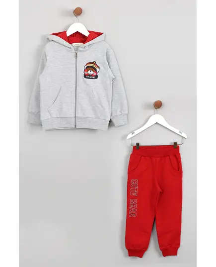 Boy's Sweat Suit Bear Embroidered Set Multicolored- Wholesale - Kids Clothing - Barmy Kids TijaraHub