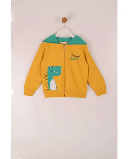 Boy's Cardigan Green Dinosaur Embroidered Multicolored- Wholesale - Kids Clothing - Barmy Kids TijaraHub