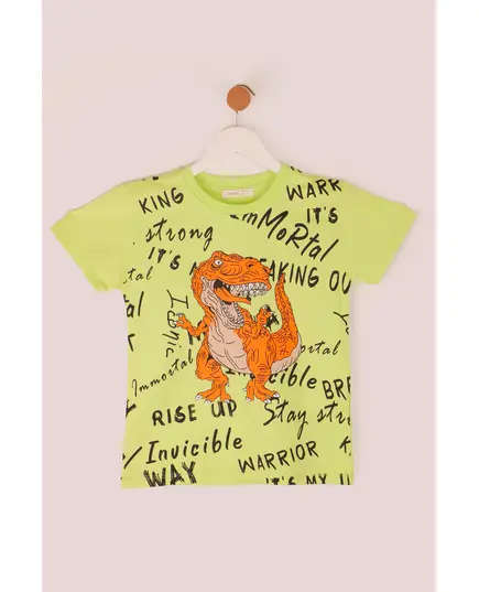 Boy's Sweat Shirt Trex Printed Multicolored- Wholesale - Kids Clothing - Barmy Kids TijaraHub