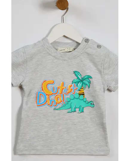 Boy's Sweat Suit Cutest Dino Printed Set Multicolored- Wholesale - Kids Clothing - Barmy Kids TijaraHub