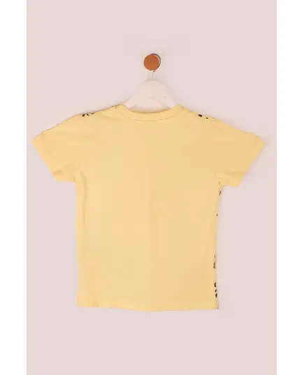 Boy's Sweat Shirt Trex Printed Multicolored- Wholesale - Kids Clothing - Barmy Kids TijaraHub