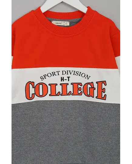 Boy's Sweat Shirt College Printed Multicolored- Wholesale - Kids Clothing - Barmy Kids TijaraHub