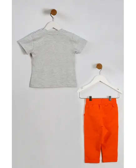 Boy's Sweat Suit Cutest Dino Printed Set Multicolored- Wholesale - Kids Clothing - Barmy Kids TijaraHub