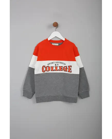 Boy's Sweat Shirt College Printed Multicolored- Wholesale - Kids Clothing - Barmy Kids TijaraHub