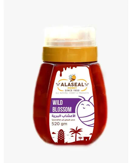 Honey Multiple Flavors 520 gm - Food - B2B - Alaseal - Tijarahub