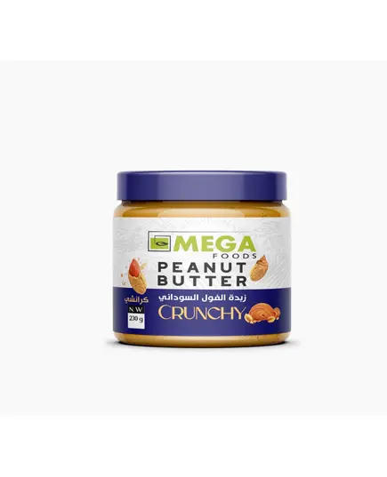 Peanut Butter 300 gm - B2B - Food - Mega Foods - Tijarahub