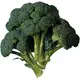 Safe Food Broccoli - High Quality Fresh Vegetables Tijarahub