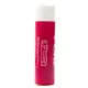 Lip Care Stick - 4 gm - Cherry Scent - Lip Moisturizer