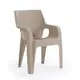 Tiger Chair - Plastic Garden Chair - Outdoor Furniture