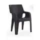 Tiger Chair - Plastic Garden Chair - Outdoor Furniture