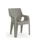 Tiger Chair - Plastic Garden Chair - Outdoor Furniture