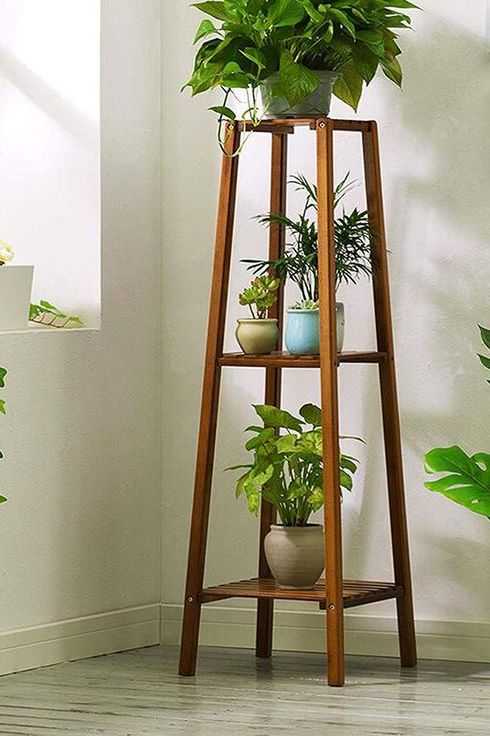 Featured Photo of Wood Plant Stands