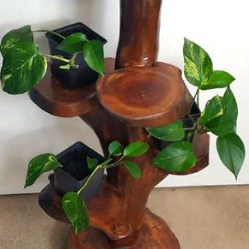 Rustic Plant Stands (Photo 15 of 15)